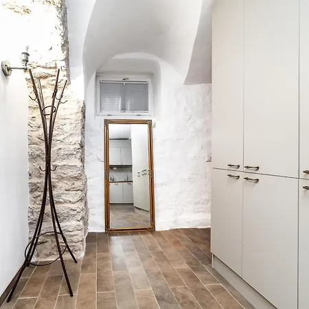 Apartment Historical & Modern Business With Sauna @kadriorg
