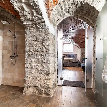 Apartment Historical & Modern Business With Sauna @kadriorg